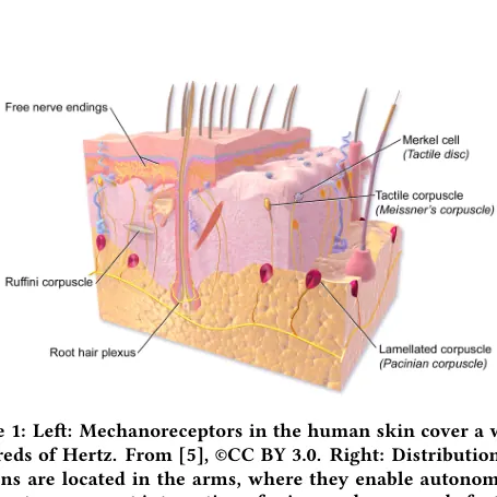 Figure from the paper “New Directions: Wireless Robotic Materials”